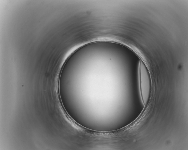X0000095130862200712071006