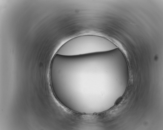 X0000095130863200712071006