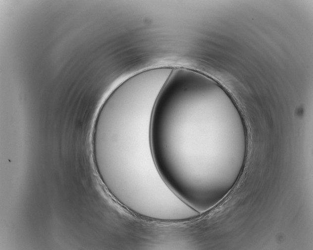 X0000095130864200712071006