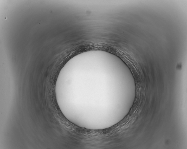 X0000095130865200712071006