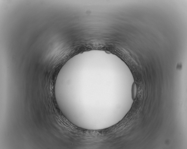 X0000095130866200712071006