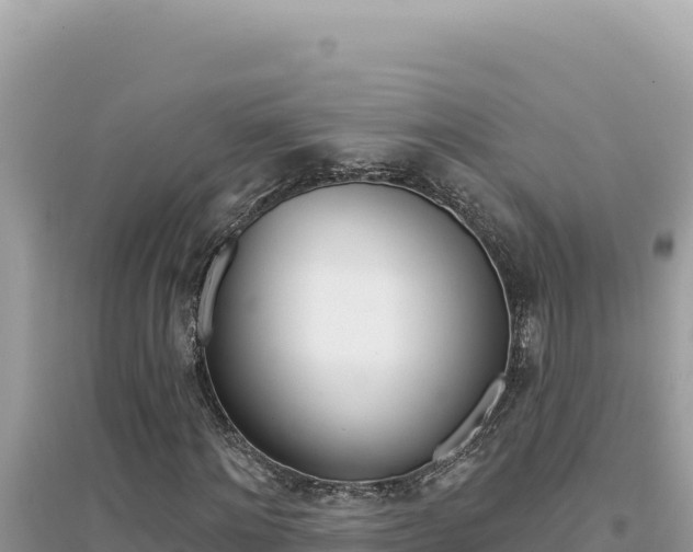 X0000095130868200712071006