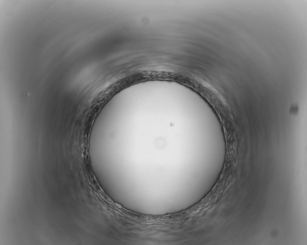 X0000095130870200712071005