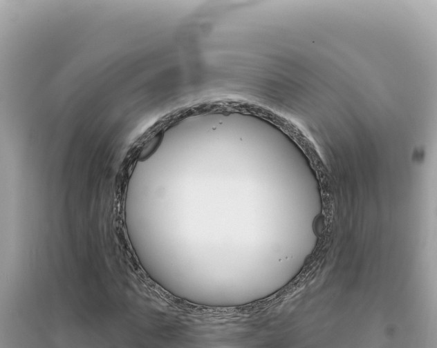 X0000095130871200712071005
