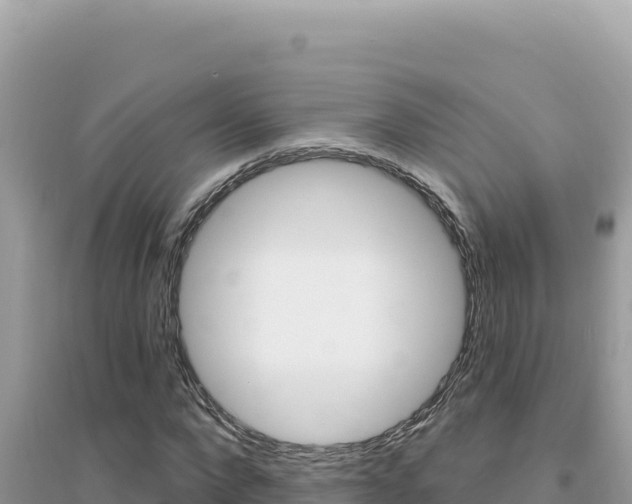 X0000095130872200712071005