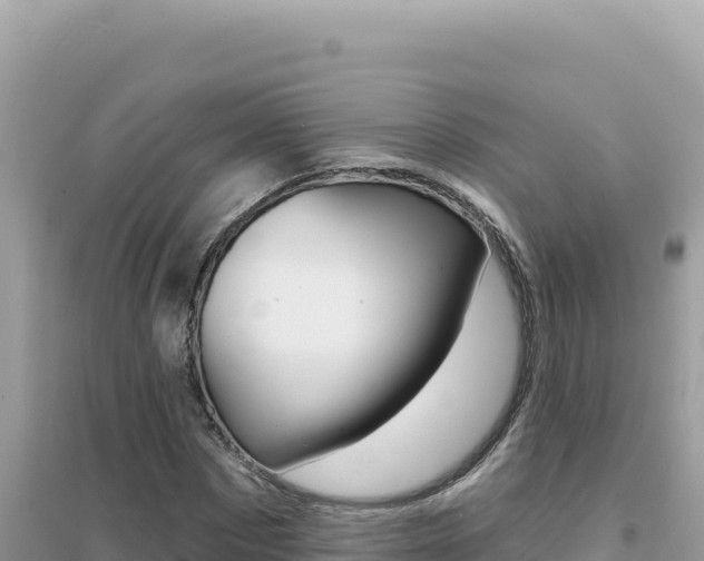 X0000095130873200712071005