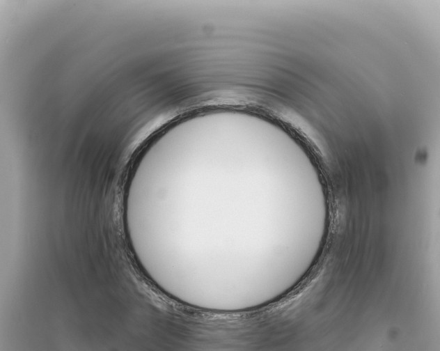 X0000095130874200712071005