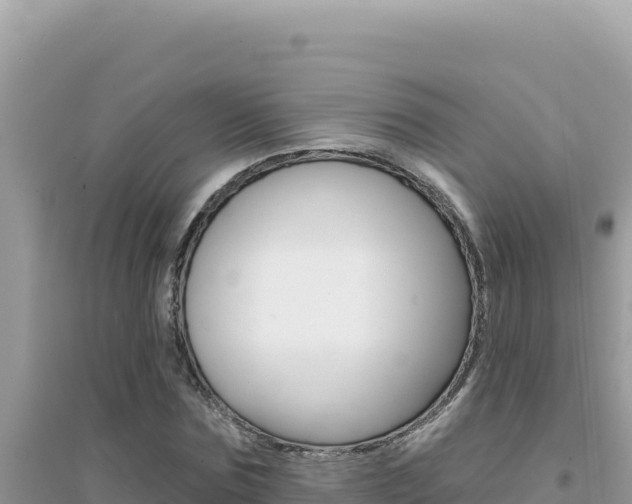 X0000095130875200712071005