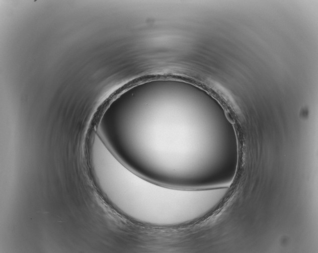 X0000095130876200712071005