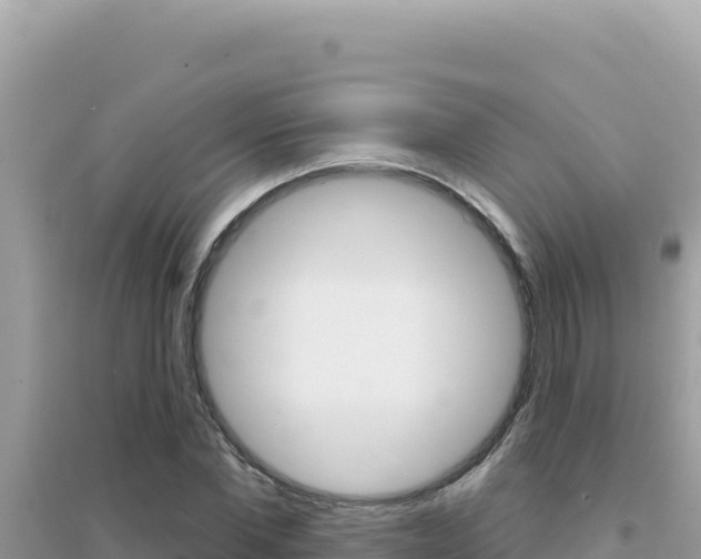 X0000095130877200712071005
