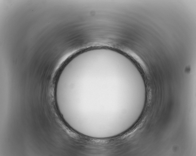 X0000095130878200712071005
