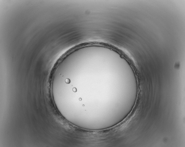 X0000095130879200712071005