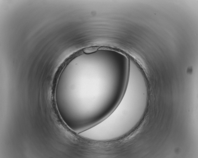 X0000095130880200712071005