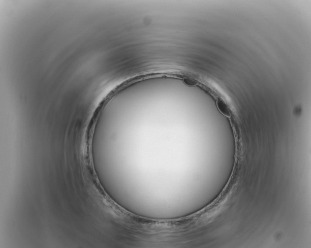X0000095130883200712071005