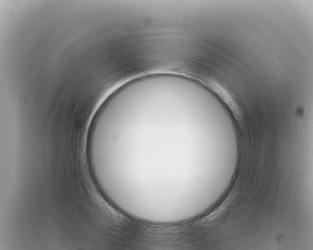 X0000095130884200712071005