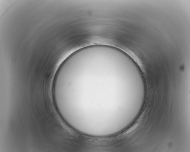 X0000095130885200712071005