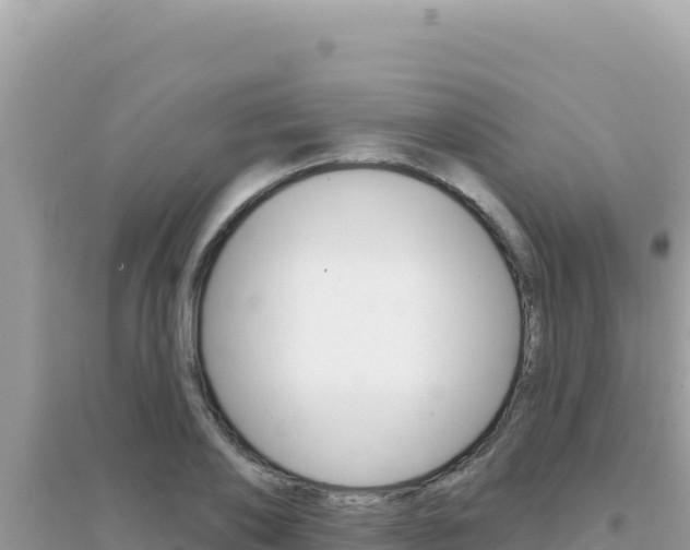 X0000095130886200712071005