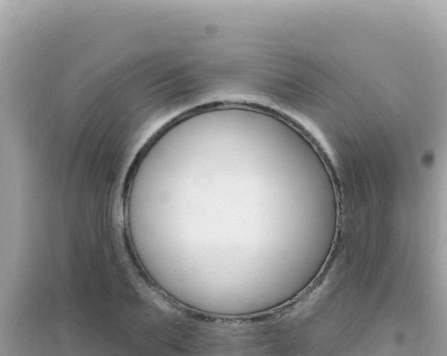 X0000095130887200712071005