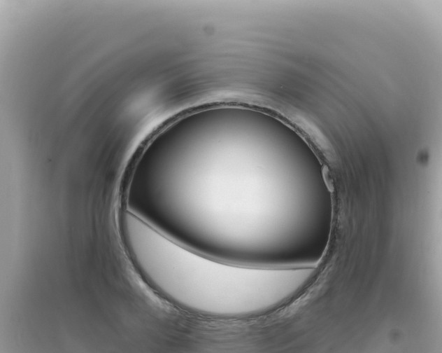 X0000095130888200712071005