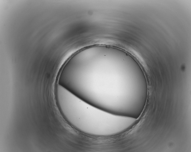 X0000095130891200712071005