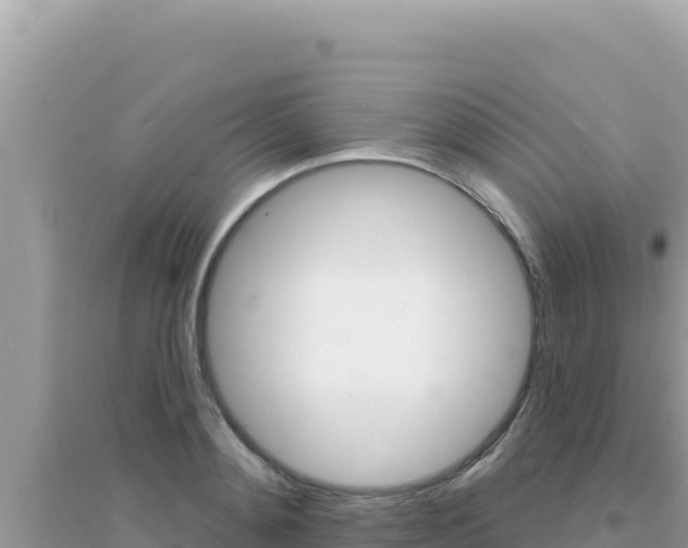 X0000095130892200712071005