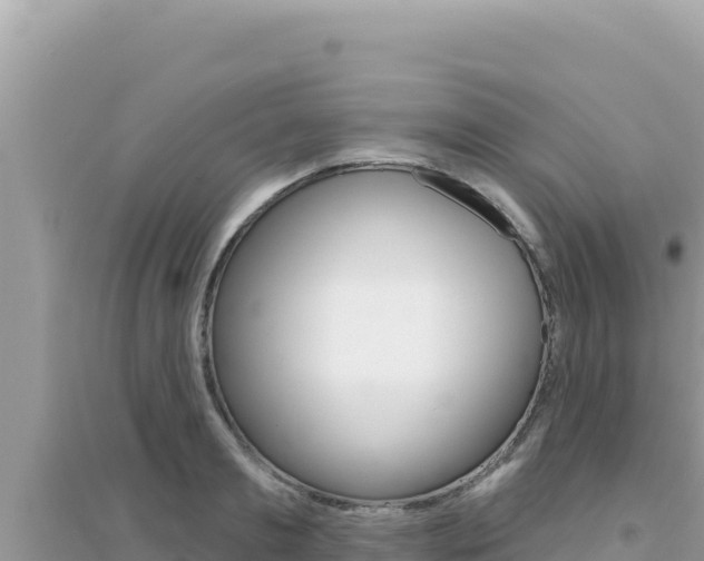 X0000095130893200712071005