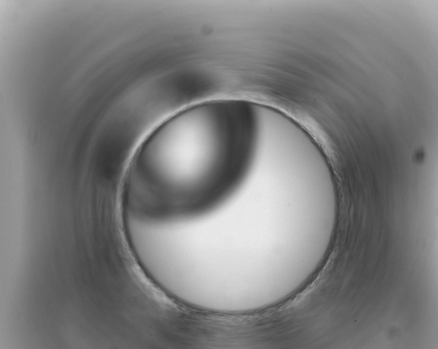 X0000095130896200712071005