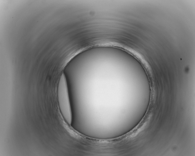 X0000095130897200712071005
