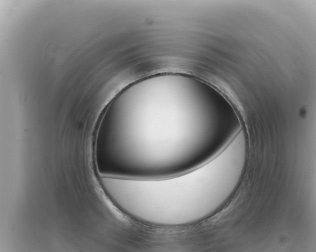 X0000095130898200712071005