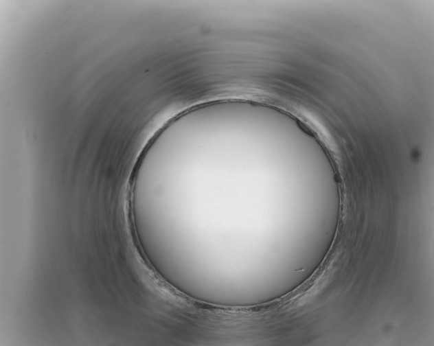 X0000095130899200712071005