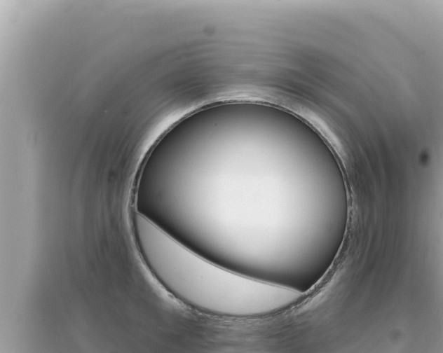 X0000095130901200712071005