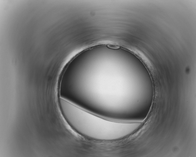 X0000095130902200712071005