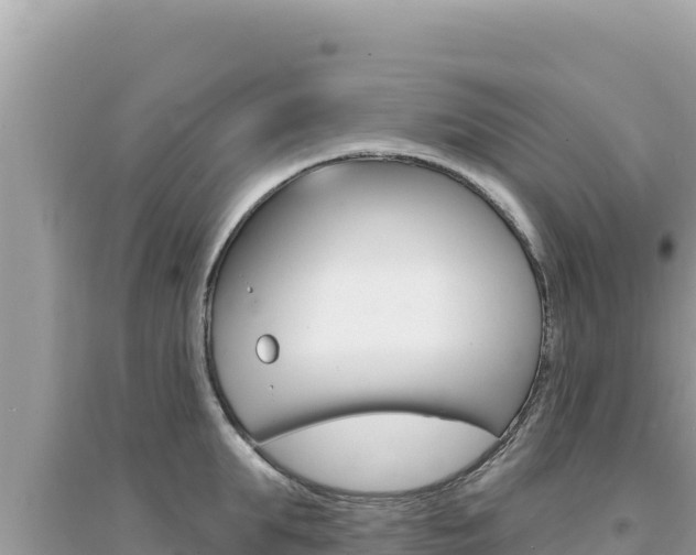 X0000095130903200712071005
