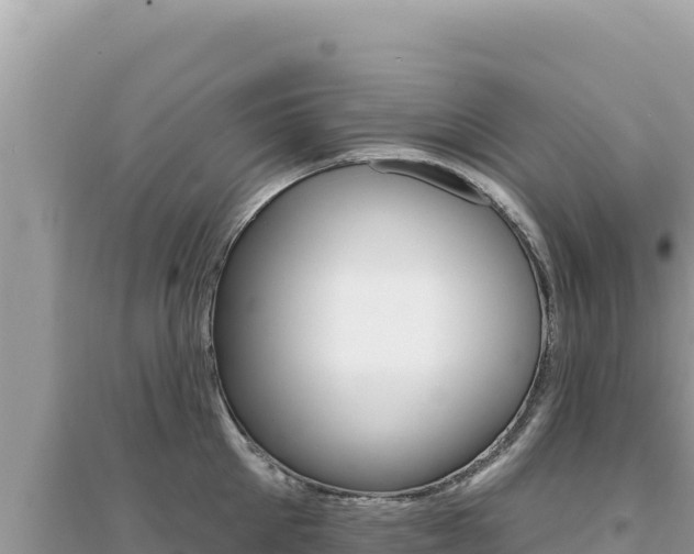 X0000095130905200712071005