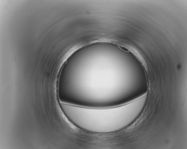 X0000095130906200712071005