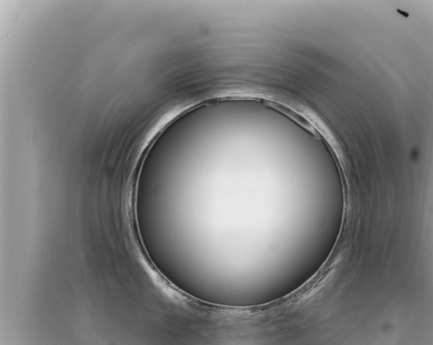 X0000095130909200712071005