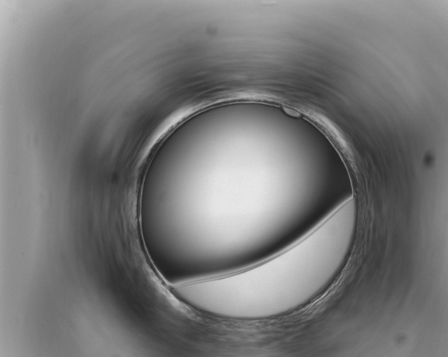 X0000095130910200712071005