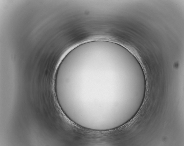 X0000095130912200712071005