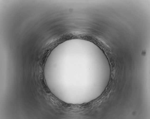 X0000095130917200712071004