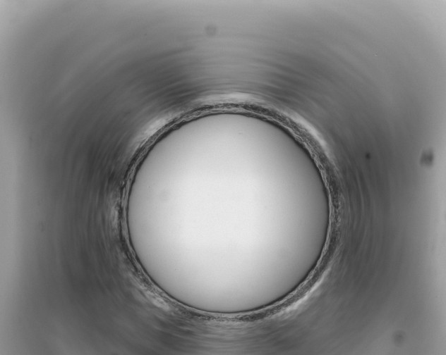 X0000095130921200712071004