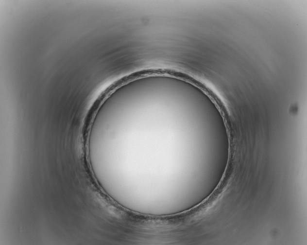 X0000095130927200712071004