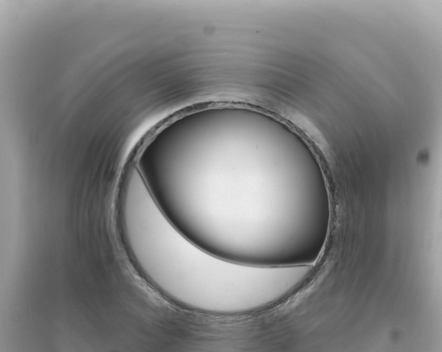 X0000095130928200712071004