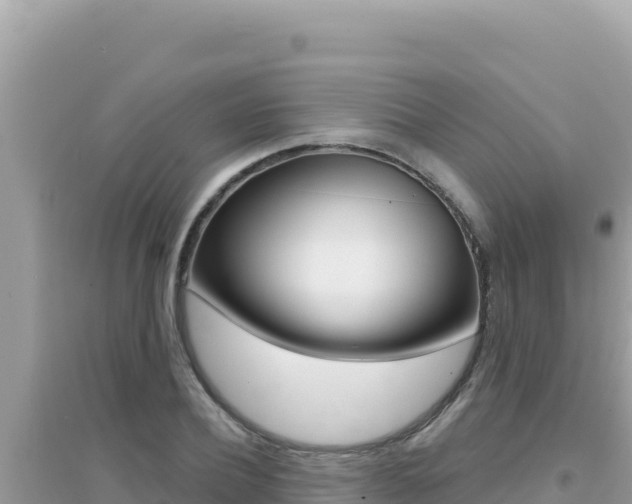 X0000095130932200712071004