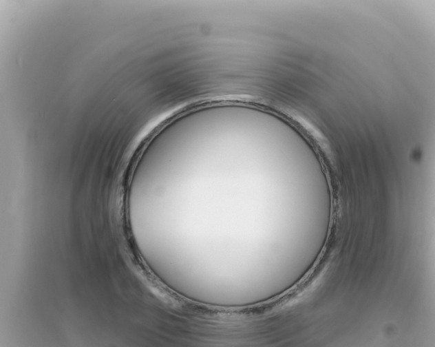 X0000095130933200712071004