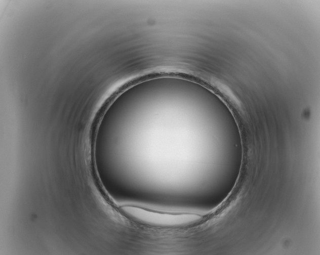 X0000095130934200712071004