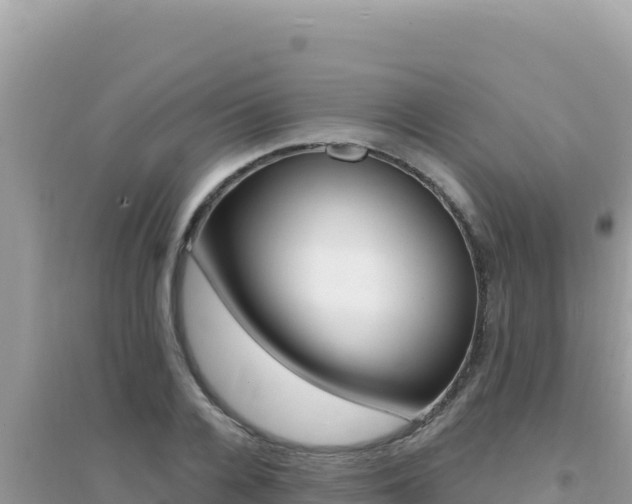 X0000095130936200712071004