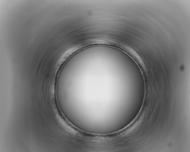 X0000095130938200712071004