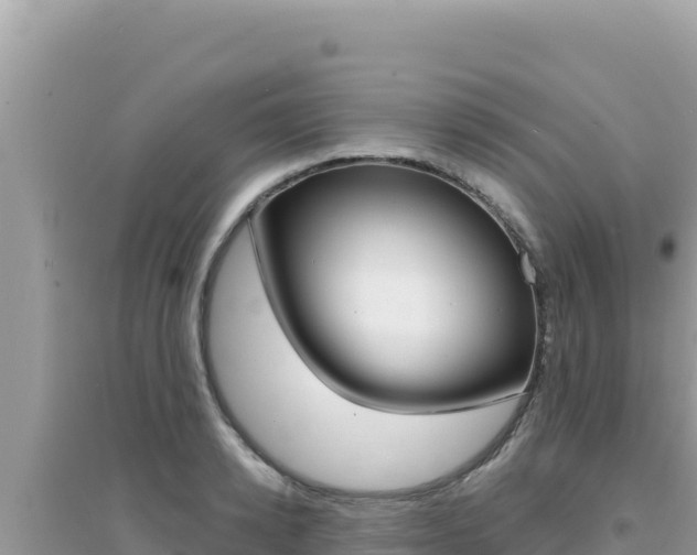 X0000095130942200712071004