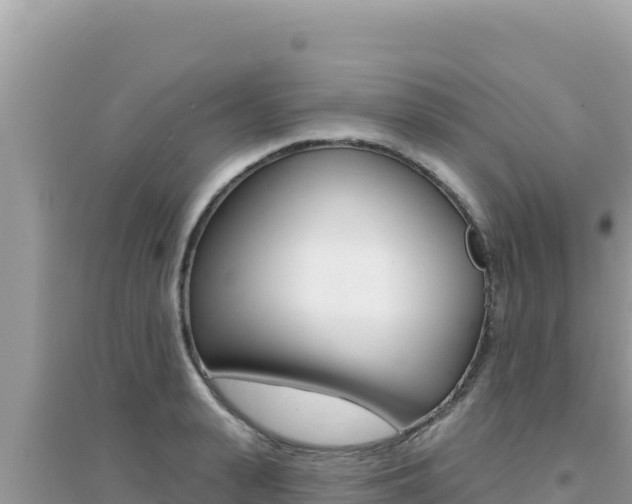 X0000095130943200712071004