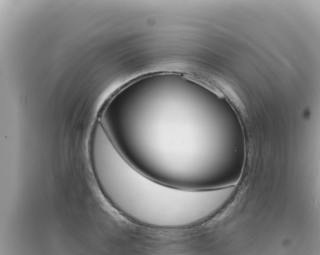 X0000095130944200712071005